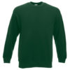 Variation picture for Bottle Green