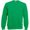 Variation picture for Kelly Green