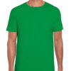 Variation picture for Irish Green