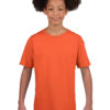 Variation picture for Orange