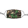 Variation picture for Forest Camo