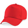 Variation picture for Bright Red