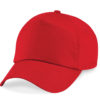Variation picture for Classic Red