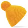 Variation picture for Sun Yellow