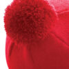 Variation picture for Classic Red
