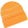 Variation picture for Fluoresent Orange