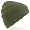 Variation picture for Olive Green