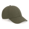 Variation picture for Olive Green