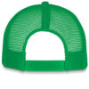 Variation picture for Pure Green/White