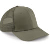 Variation picture for Olive Green