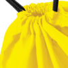 Variation picture for Yellow
