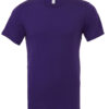 Variation picture for Team Purple