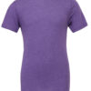 Variation picture for Purple Triblend