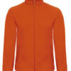 Variation picture for Pumpkin Orange