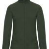 Variation picture for Forest Green
