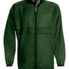 Variation picture for Bottle Green