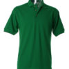 Variation picture for Irish Green