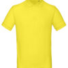 Variation picture for Solar Yellow