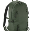 Variation picture for Olive Green
