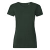 Variation picture for Bottle Green