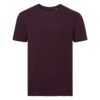 Variation picture for Burgundy