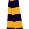 Variation picture for Navy/Gold