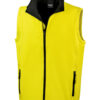 Variation picture for Yellow/Black