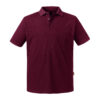 Variation picture for Burgundy