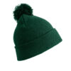 Variation picture for Bottle Green