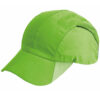 Variation picture for Fluorescent Lime
