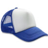Variation picture for Royal Blue/White