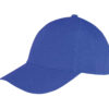 Variation picture for Royal Blue/White