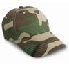 Variation picture for Camo