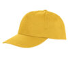 Variation picture for Yellow