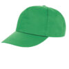 Variation picture for Apple Green