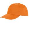 Variation picture for Orange