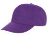 Variation picture for Purple