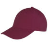 Variation picture for Burgundy