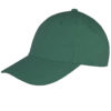 Variation picture for Bottle Green