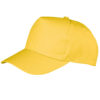 Variation picture for Yellow