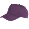 Variation picture for Purple