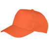 Variation picture for Orange