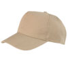 Variation picture for Khaki
