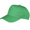 Variation picture for Apple Green