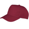 Variation picture for Burgundy