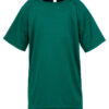 Variation picture for Bottle Green