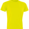 Variation picture for Fluro Yellow