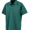 Variation picture for Bottle Green