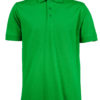 Variation picture for Spring Green
