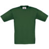 Variation picture for Bottle Green